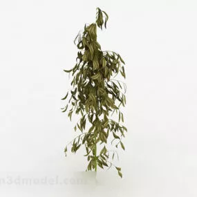 Oval Leaf Sapling 3d model