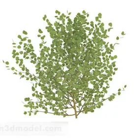 Oval Leaf Shrub 3d model