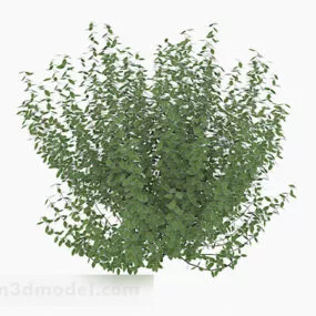 Oval Leaves Low Bush 3d model