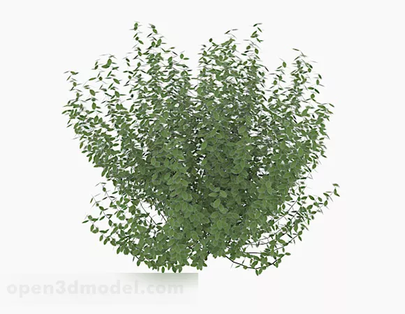 Oval Leaves Low Bush 3d model Oval Leaves Low Bush 3d model