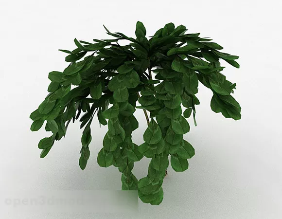 Oval Leaves Ornamental Plants 3d model Oval Leaves Ornamental Plants 3d model