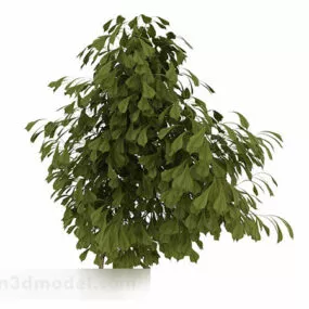 Oval Leaves Ornamental Shrub 3d model