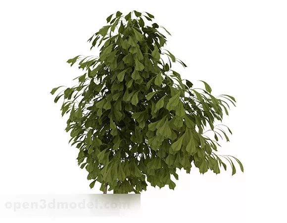Oval Leaves Ornamental Shrub 3d model Oval Leaves Ornamental Shrub 3d model