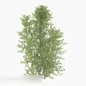Oval Leaves Trees 3d model