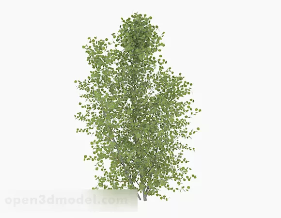 Oval Leaves Trees 3d model Oval Leaves Trees 3d model