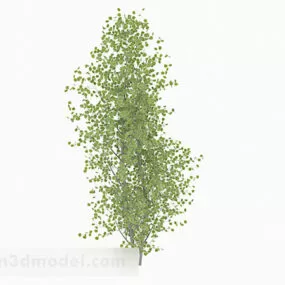 Oval Small Leaves Trees 3d model