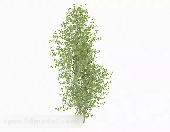 Oval Small Leaves Trees 3d model Oval Small Leaves Trees 3d model