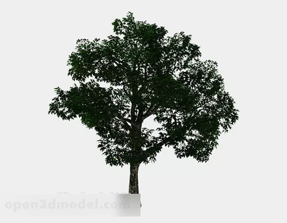 Park Green Tree 3d model Park Green Tree 3d model