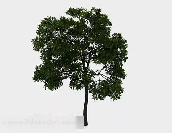 Park Planting Tree 3d model Park Planting Tree 3d model
