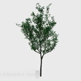 Park Tree 3d model