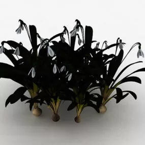 Garden Aquatic Plant 3d model