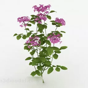 Purple Flower Decorative Plant 3d model