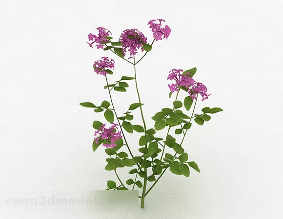 Purple Outdoor Flower Plant 3d model Purple Outdoor Flower Plant 3d model