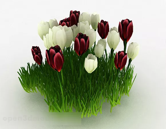 Red And White Tulips Flower 3d model Red And White Tulips Flower 3d model