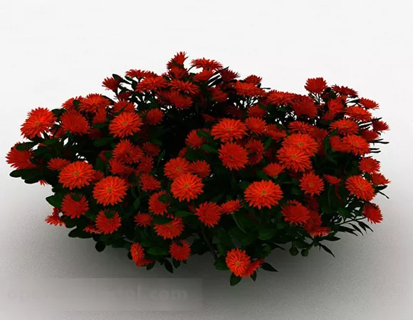 Red Daisy Ornamental Flower 3d model Red Daisy Ornamental Flower 3d model