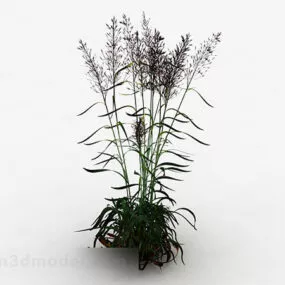 Garden Red Flower Grass 3d model