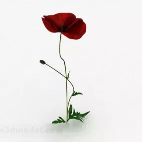 Red Rose Flower Plant 3d model