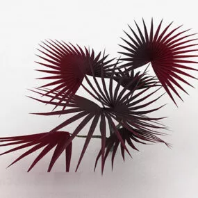 Red Leaf Palm Tree 3d model