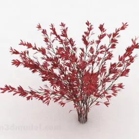 Red Leaves Ornamental Plant 3d model