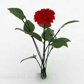 Red Outdoor Flower Plant 3d model