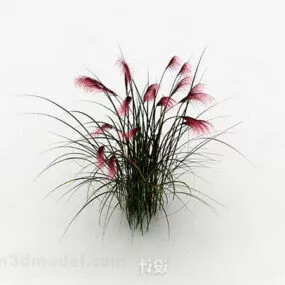 Red Outdoor Plant 3d model