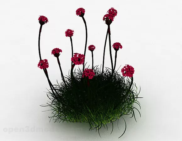 Garden Red Sea Dianthus Flower 3d model Garden Red Sea Dianthus Flower 3d model