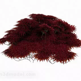 Red Sword Shaped Leaf Shrub 3d model