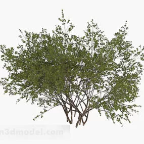 Round Small Leaf Shrub 3d model