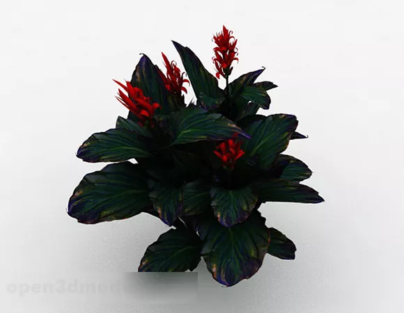 Safflower Green Leaf Flower 3d model Safflower Green Leaf Flower 3d model