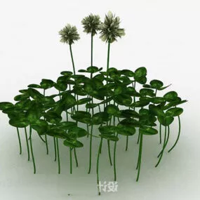 Shamrock With Flower 3d model