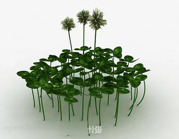 Shamrock With Flower 3d model Shamrock With Flower 3d model