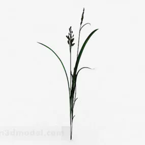 Single Plant 3d model