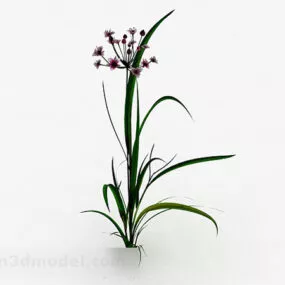 Single Plant With Flowers Small Grass 3d model