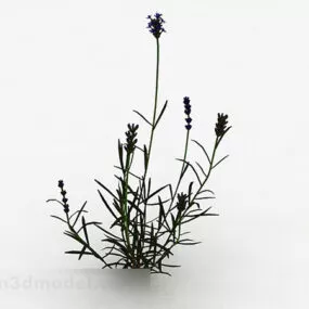 Single Purple Flower Plant 3d model