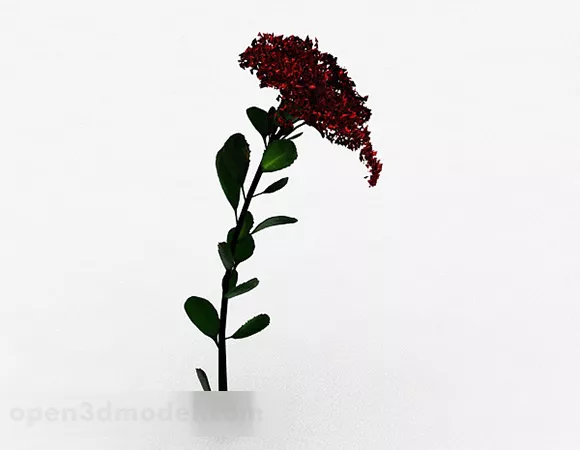 Single Safflower Plant 3d model Single Safflower Plant 3d model