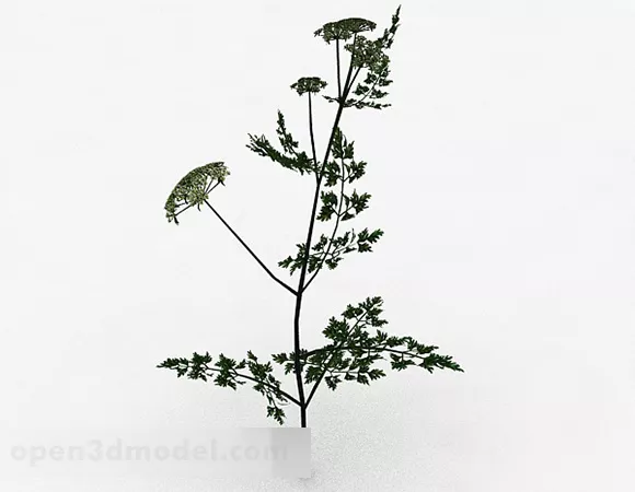 Single White Flower Plant 3d model Single White Flower Plant 3d model