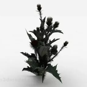 Spiny Leaf Plant 3d model