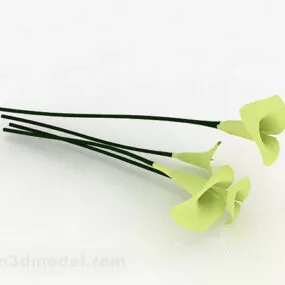 Green Horseshoe Plant 3d model