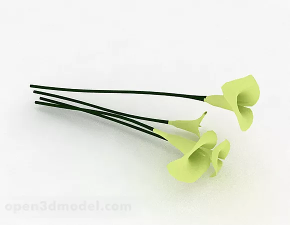 Green Horseshoe Plant 3d model Green Horseshoe Plant 3d model