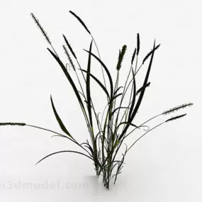 Green Thatch Plant V2 3d model