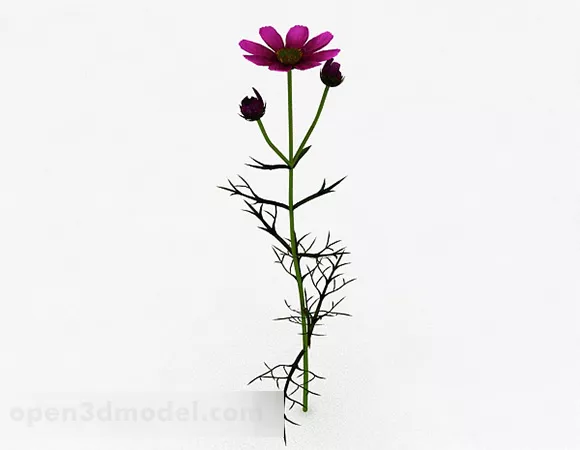 Thorns Purple Flowers Plant 3d model Thorns Purple Flowers Plant 3d model