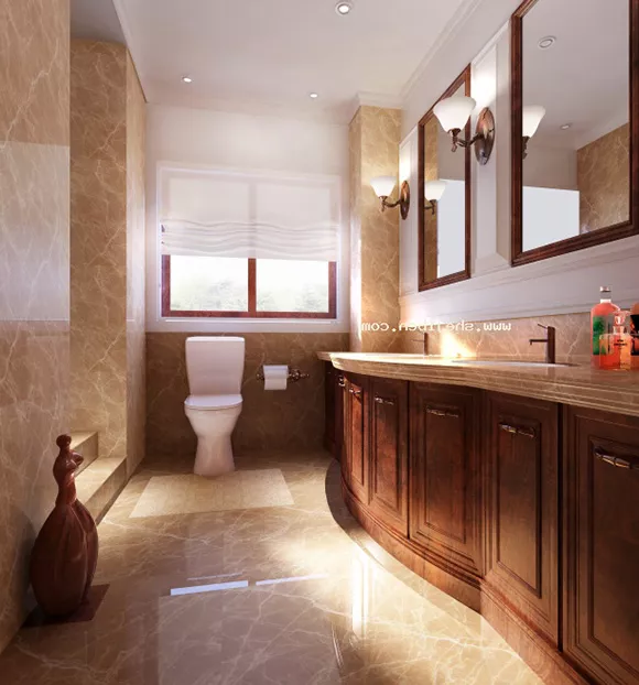 The Toilet And Bidet Set With Accessories 3d model