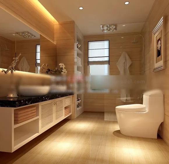 Lavatory Toilet Custom 3d model