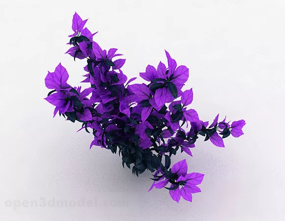 Purple Leaf Ornamental Plant 3d model Purple Leaf Ornamental Plant 3d model