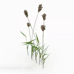 Weed Plant 3d model