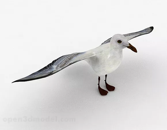 White Dove Animal 3d model White Dove Animal 3d model
