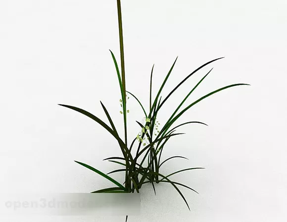 Small Grass Bush 3d model