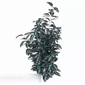 White Stripe Leaves On Green Background 3d model