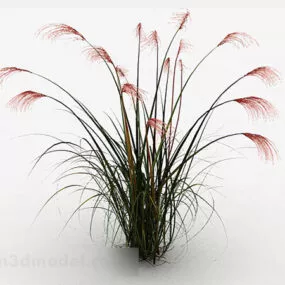 White Thatch 3d model