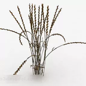 Wither Grass Plant 3d model